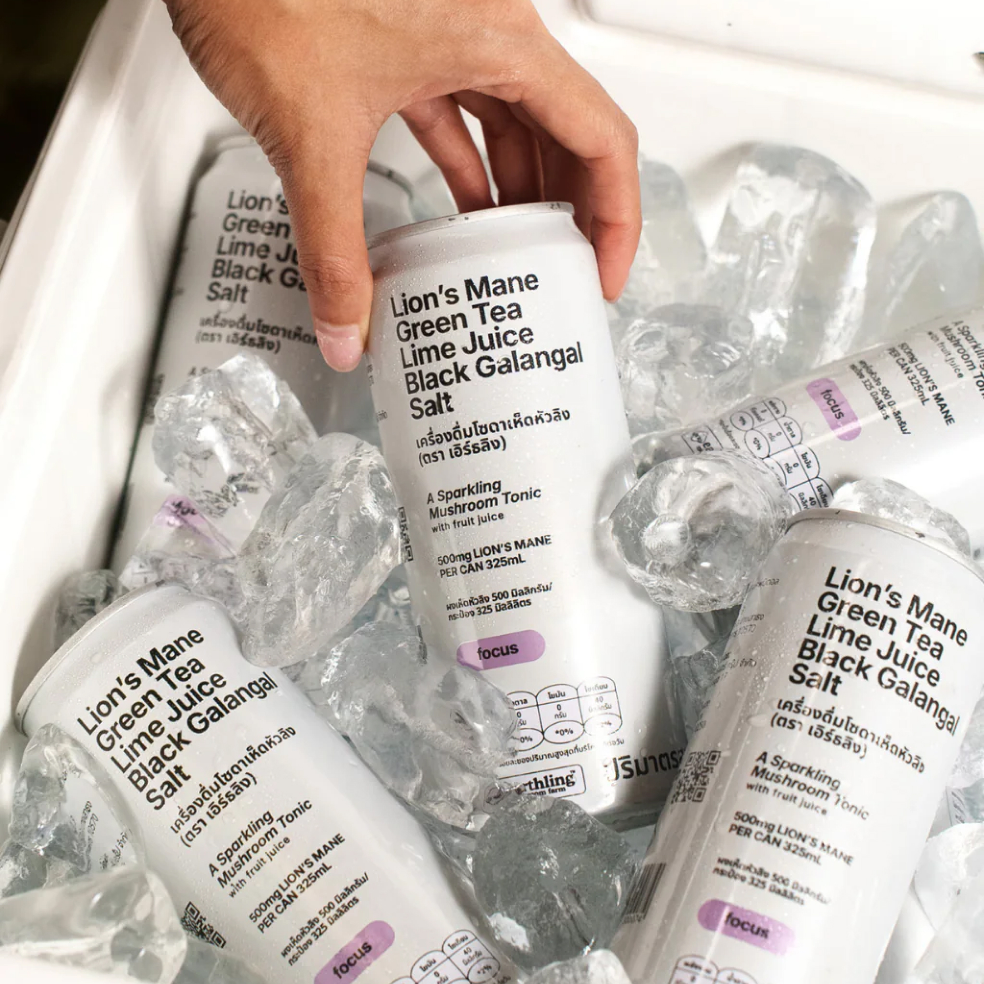Lion's Mane Sparkling Mushroom Tonic - Earthling